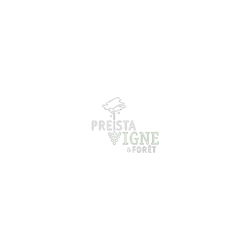 Preistavigne