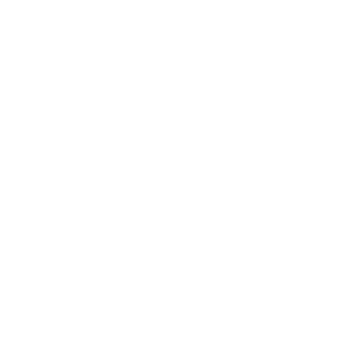 Sup de Vinci