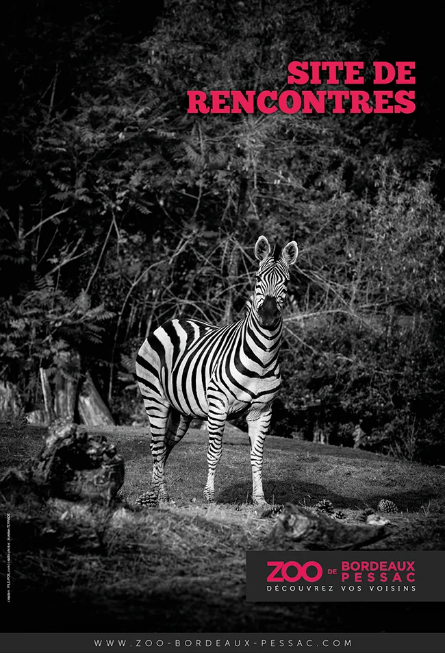 Visuel Zoo