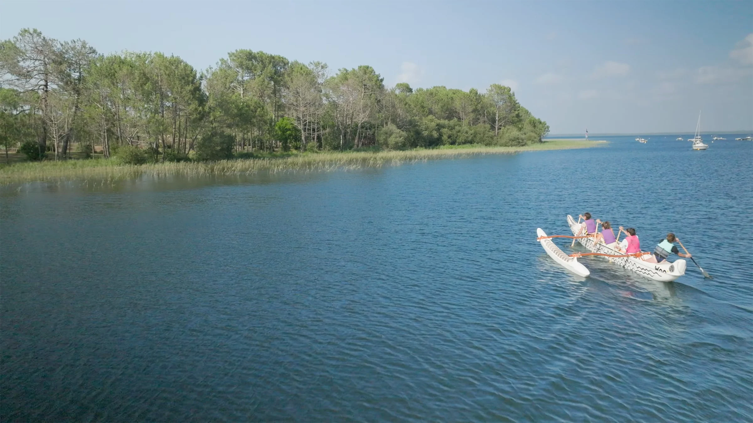 Water Life Community — film et photographie subaquatique