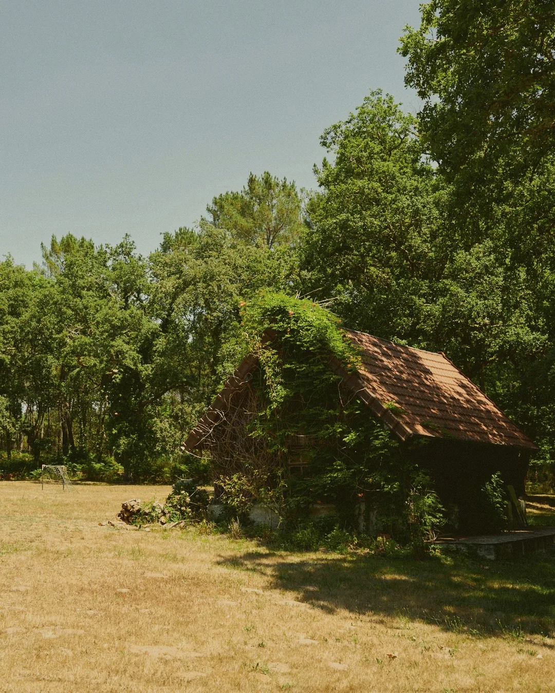 Bâtisse ancienne au fond de l'airial landais, Moulin de Pouyhéré