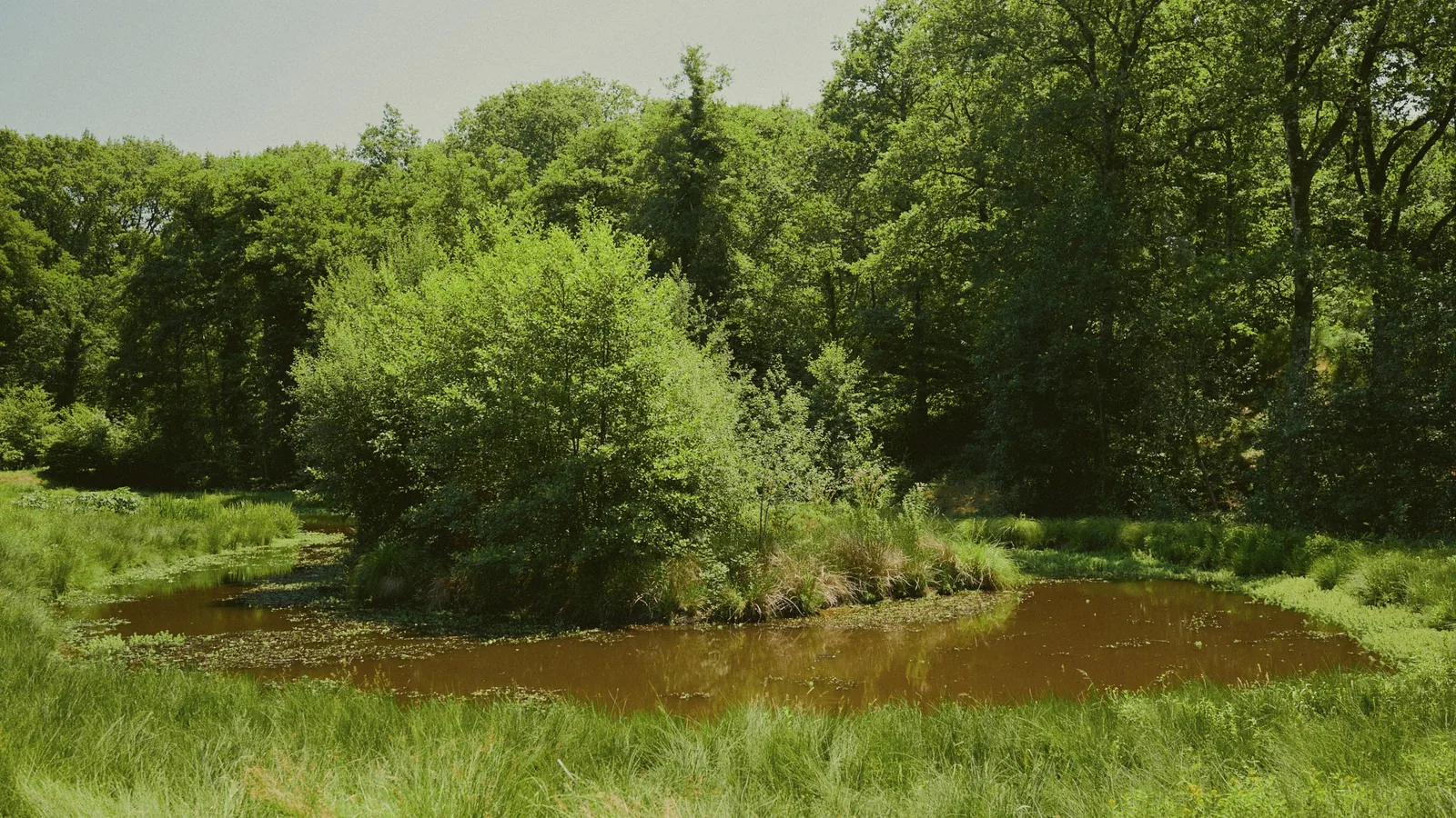 Moulin de Pouyhéré — 19