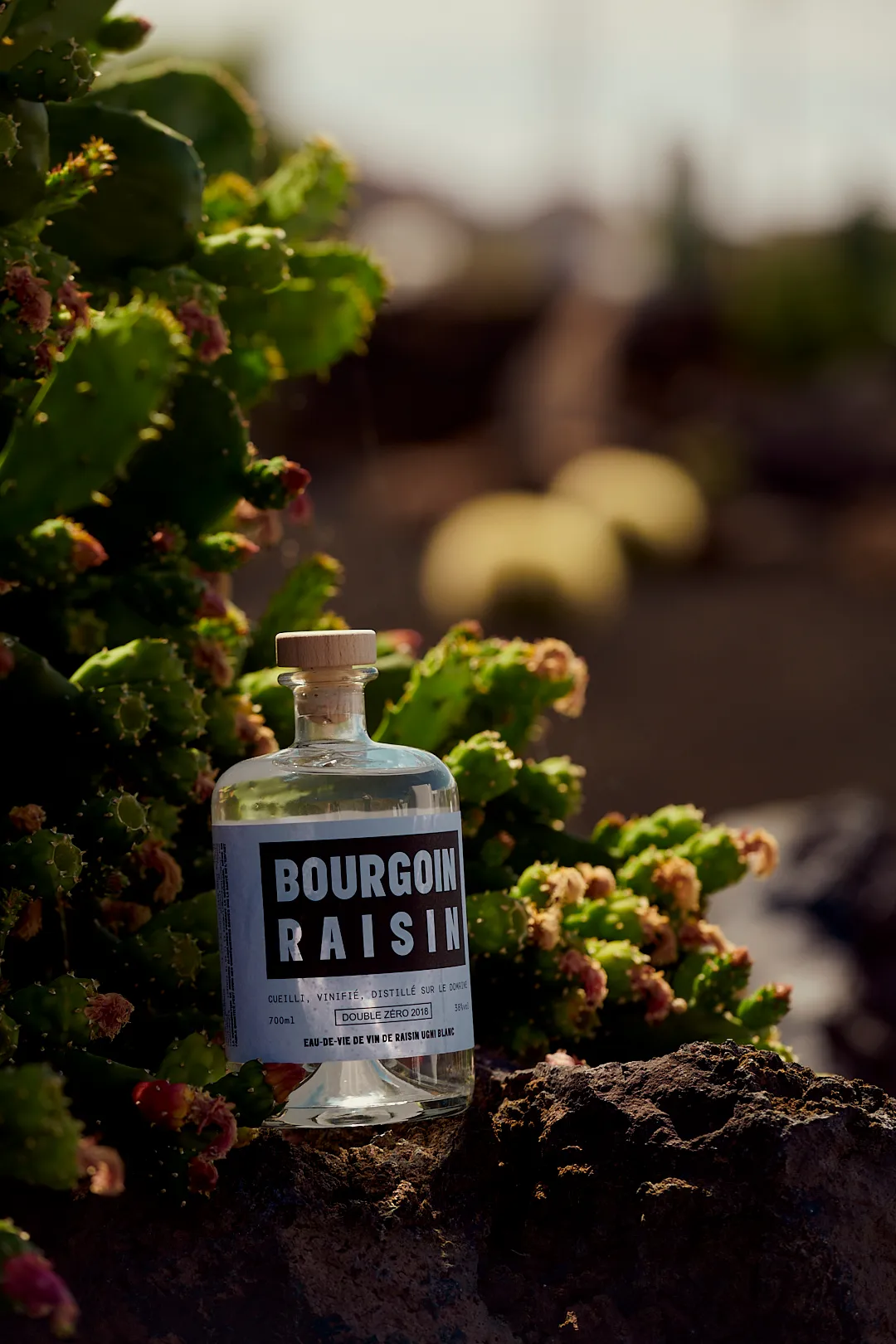 Packshot Bourgoin Raisin eau-de-vie photographie produit