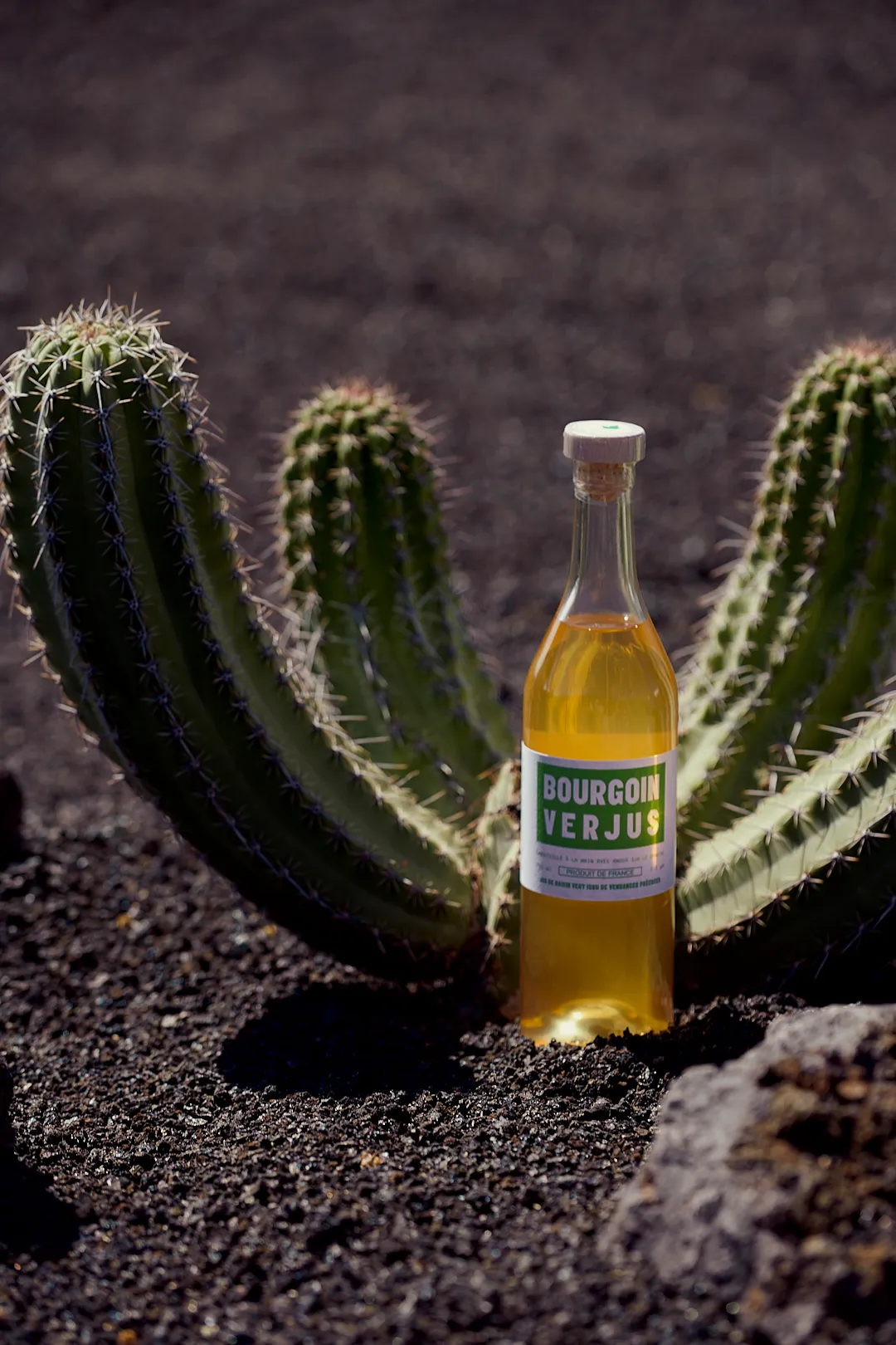 Packshot Bourgoin Verjus cactus photographie produit