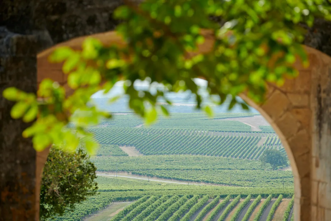 Vue vignoble arche en pierre domaine viticole