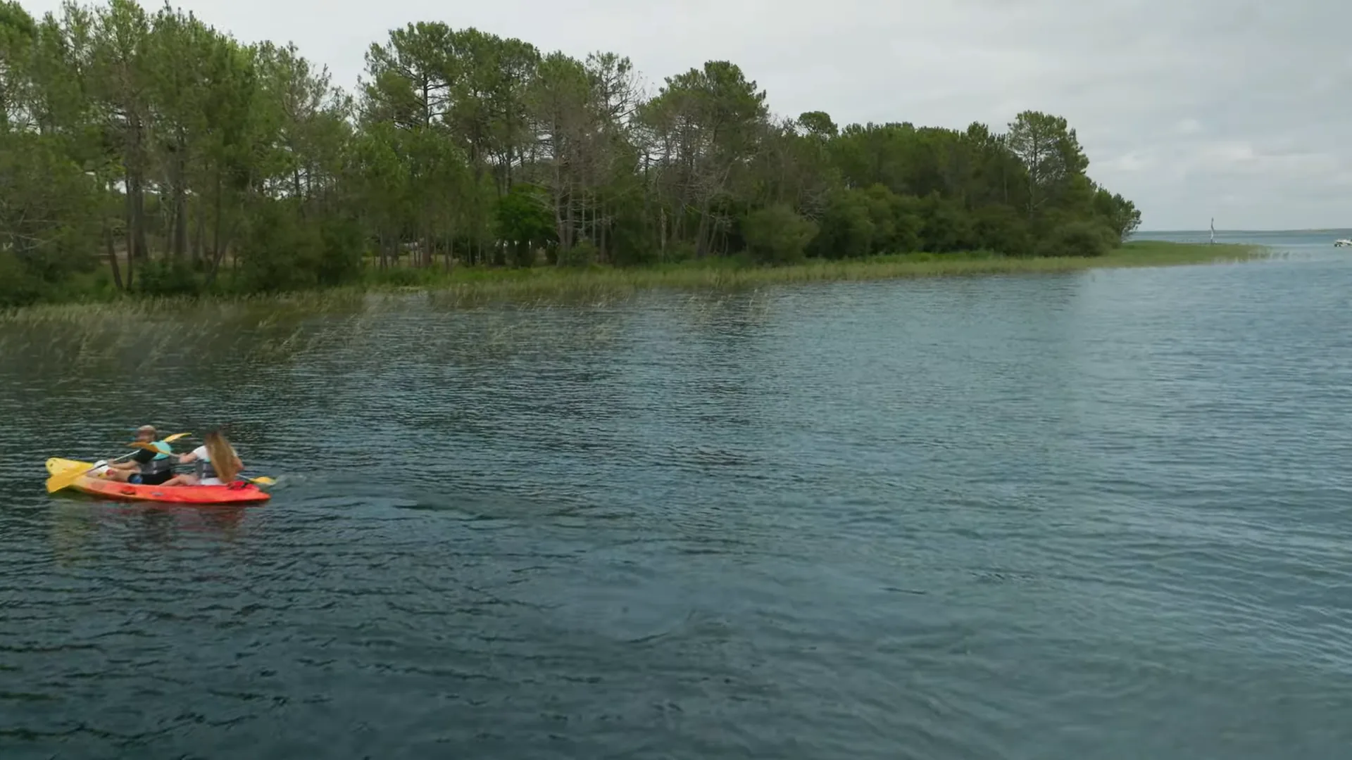 water life community — 6