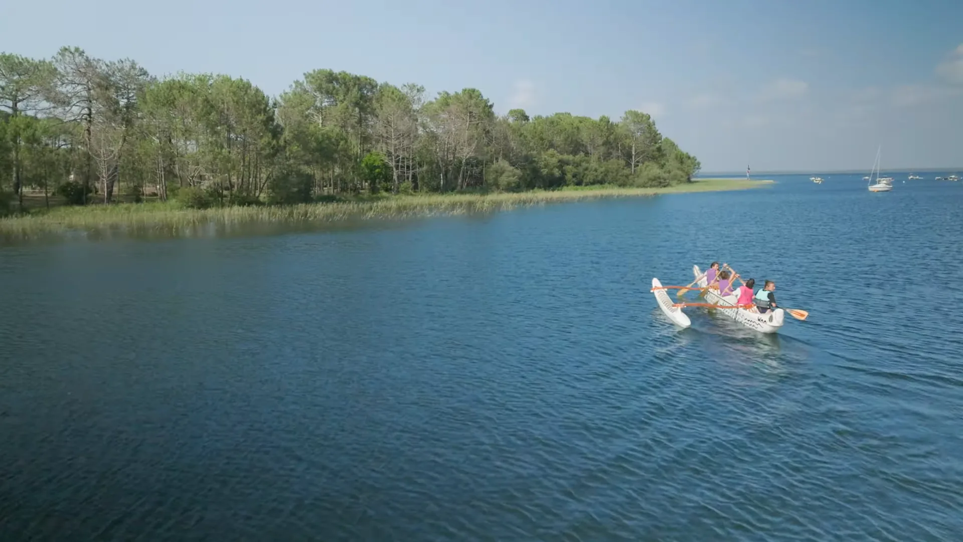 water life community — 2