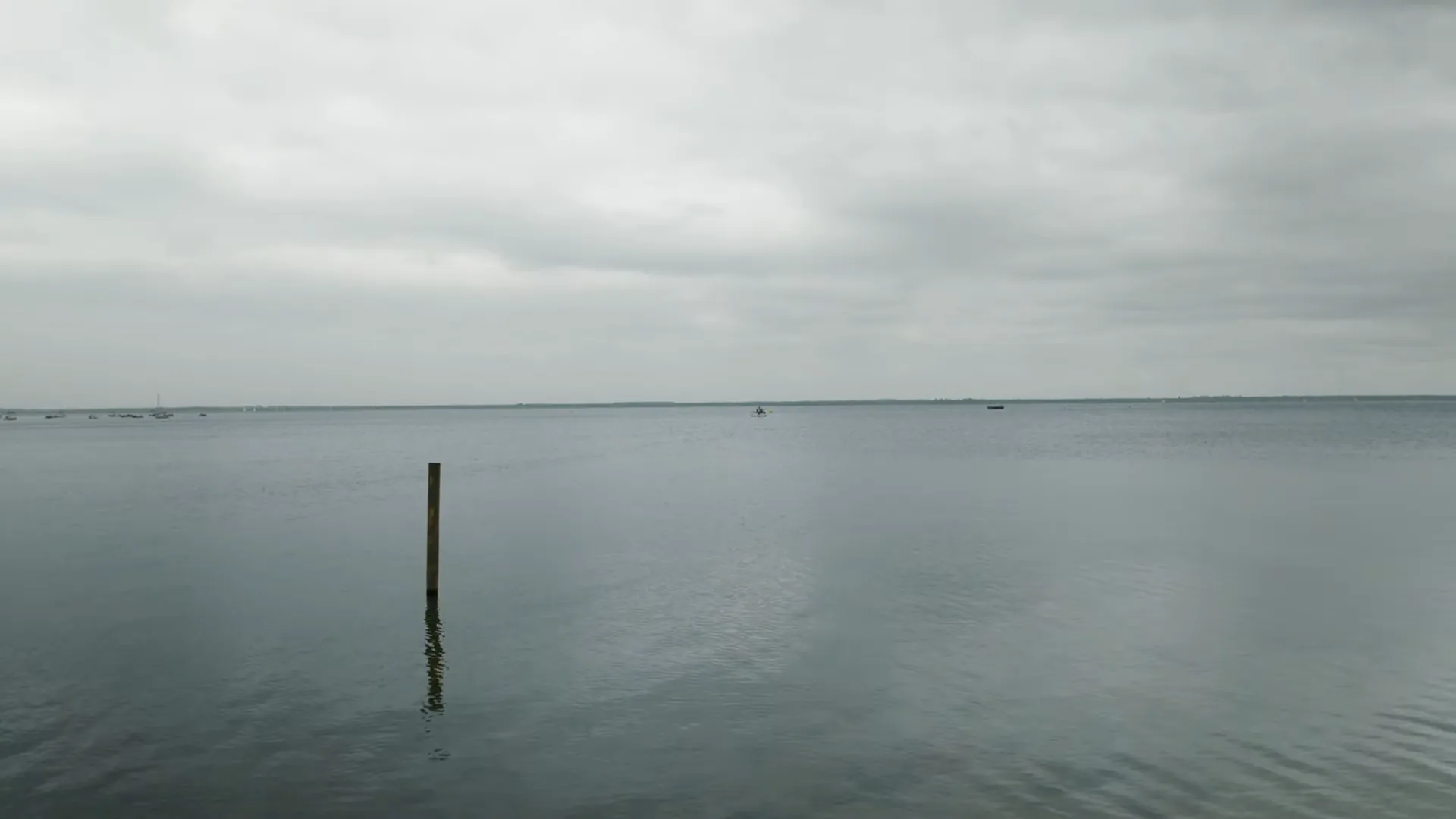 water life community — 4