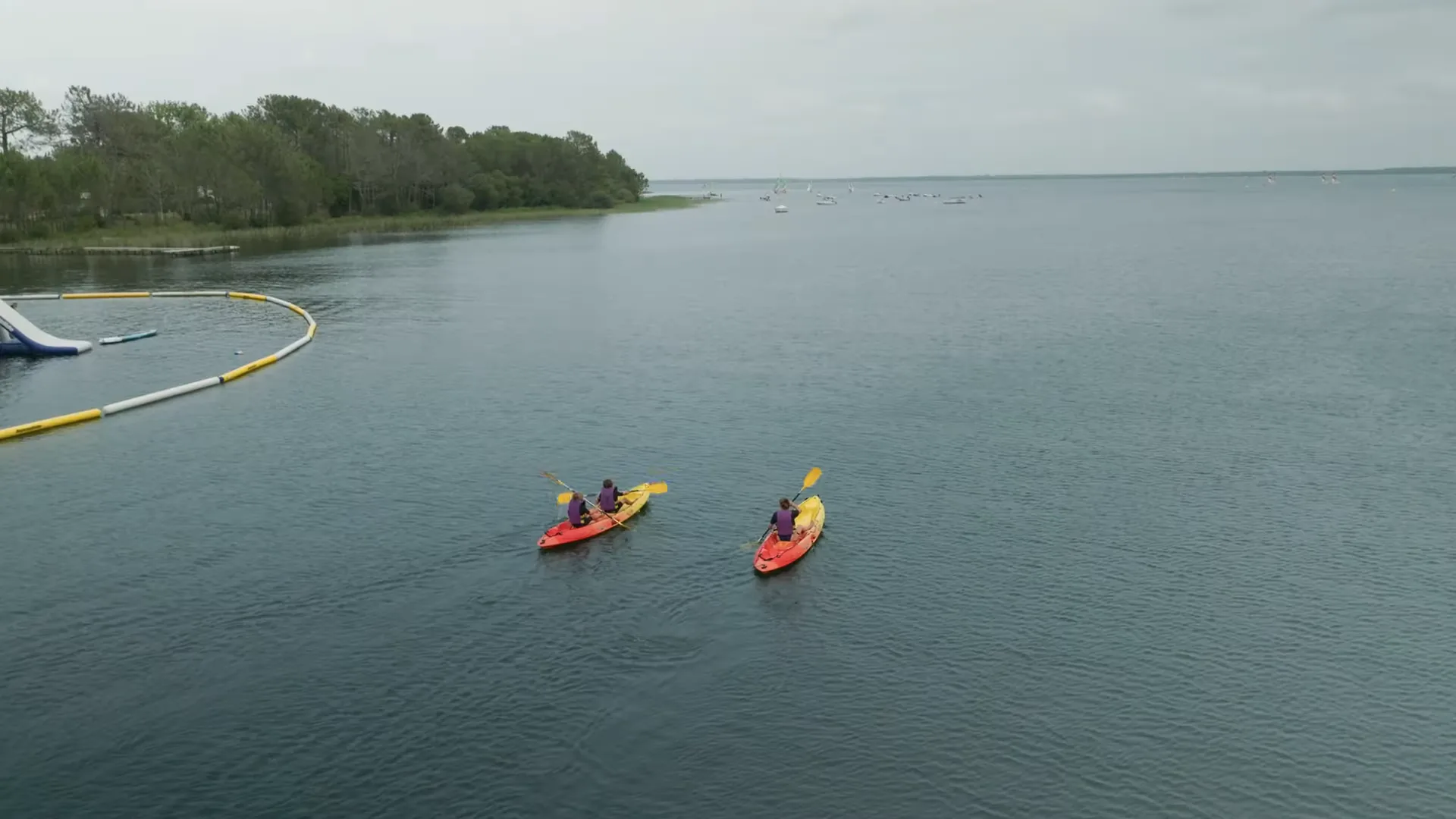 water life community — 3