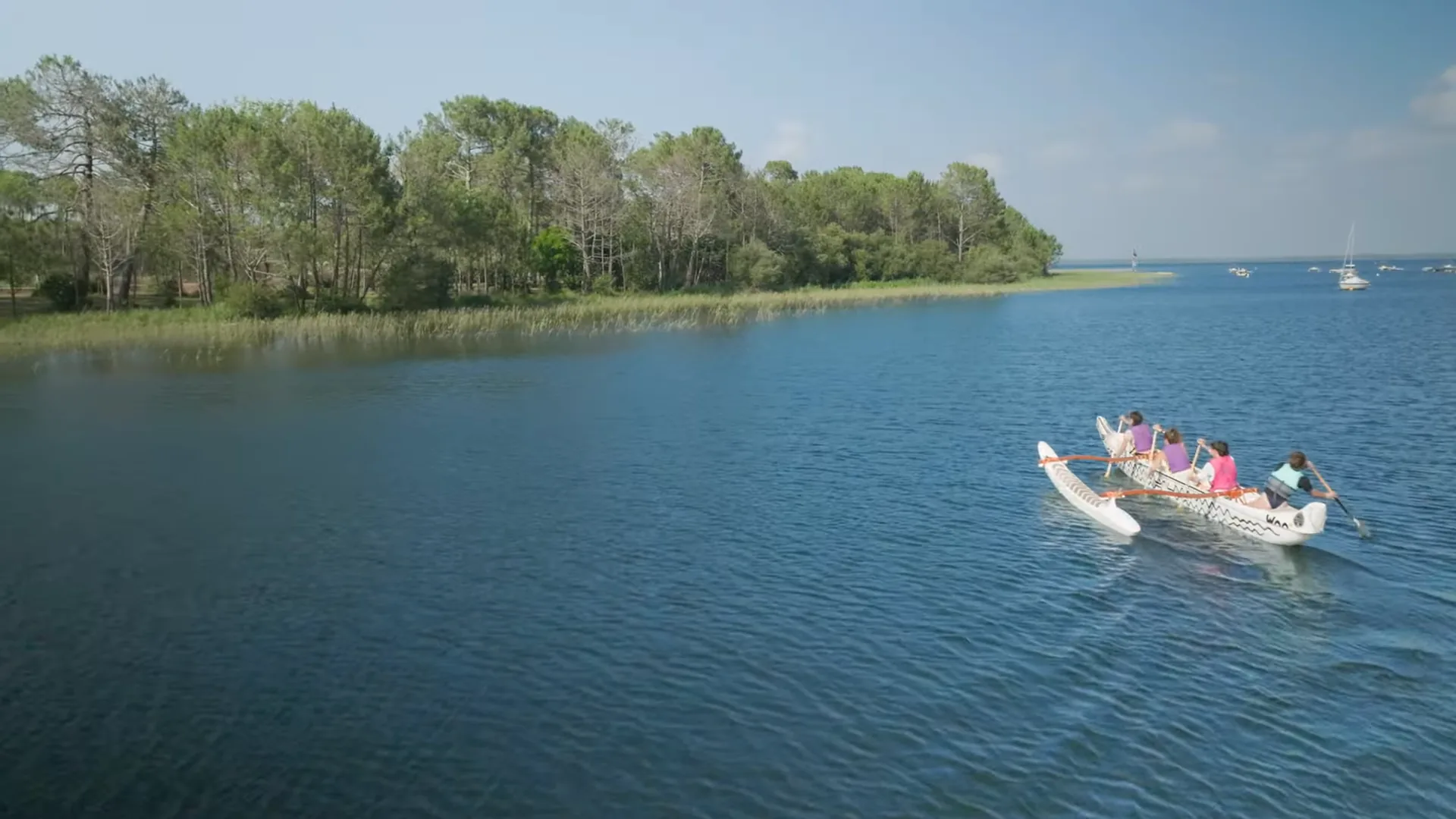 water life community — 7